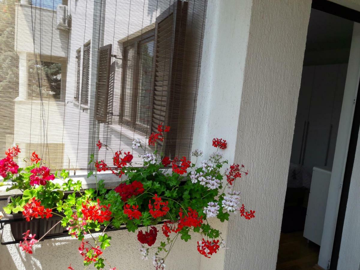 Apartments Ruzica بولا المظهر الخارجي الصورة